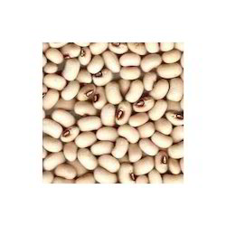 Chavali Jad 500g